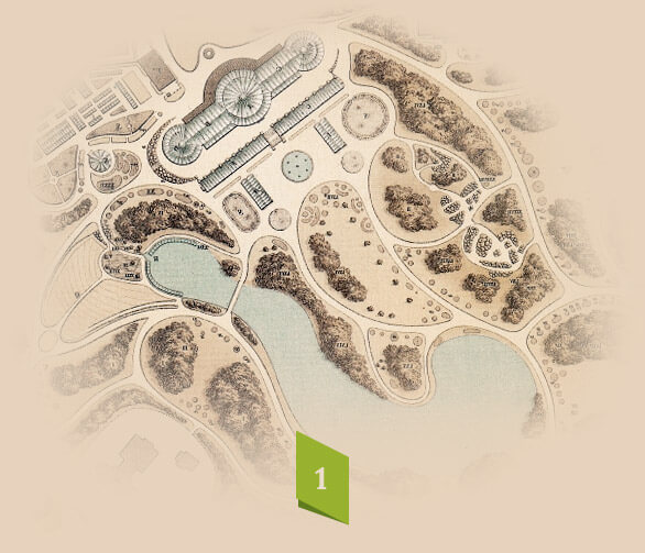 home_garden2_process1