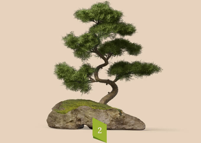 home_garden2_process2