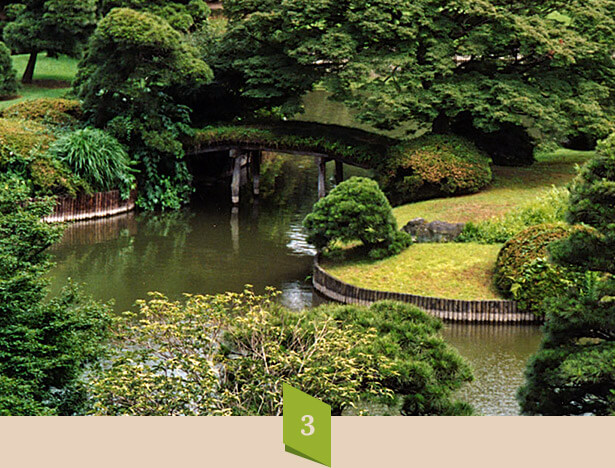 home_garden2_process3